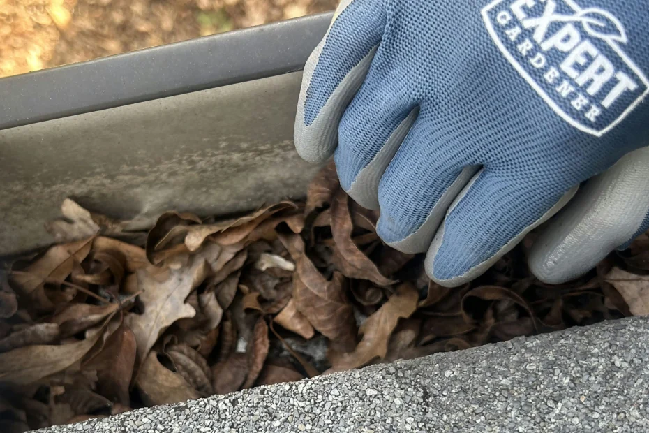 Gutter Cleaning Concord